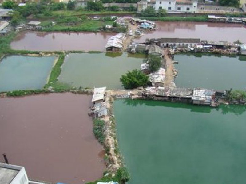 海口市七口養(yǎng)魚塘五種顏色儼如五彩池